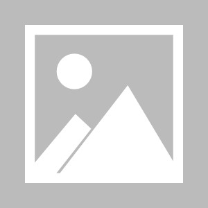 开云登录入口-【早报】你永远可以相信魔笛！