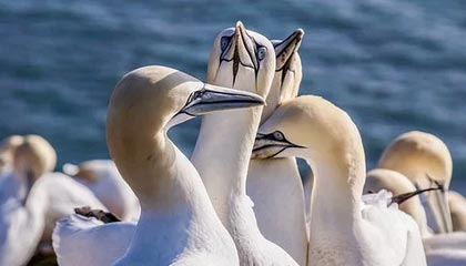 未来可期，山东男篮官方：王证，赵浩然，马延东三人升入一队