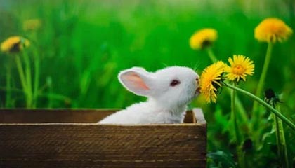 未来可期，山东男篮官方：王证，赵浩然，马延东三人升入一队